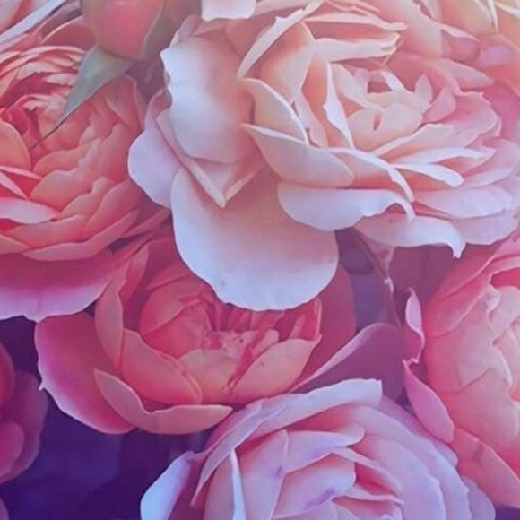 Meet your Posher, Mikayla - Picture 1 of 1